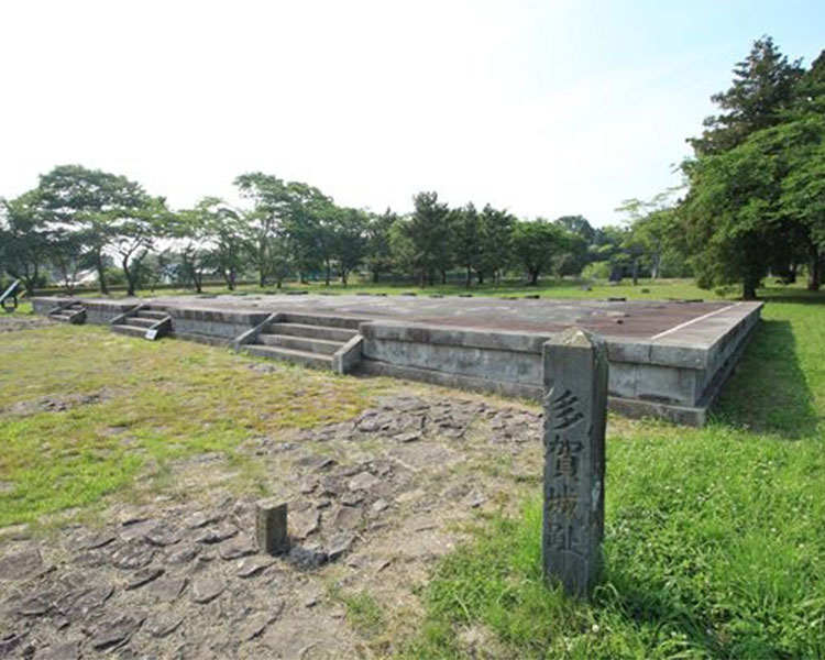 多賀城政庁跡