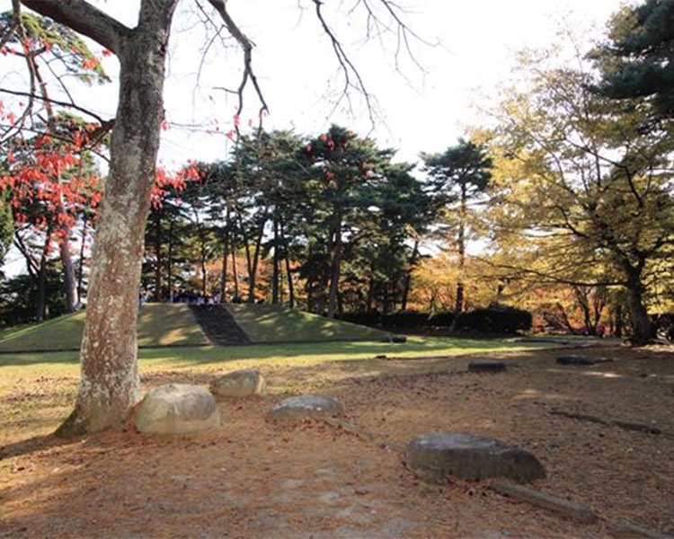 多賀城廃寺