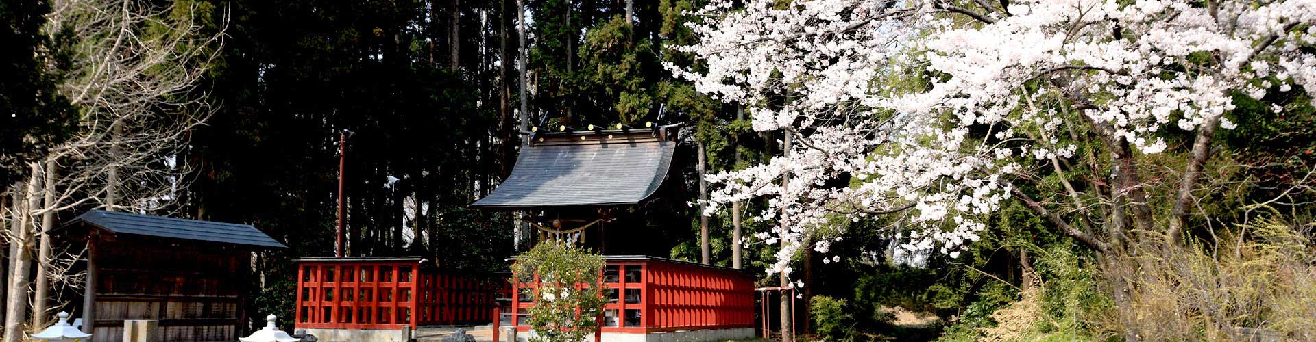 多賀城イメージ画像4