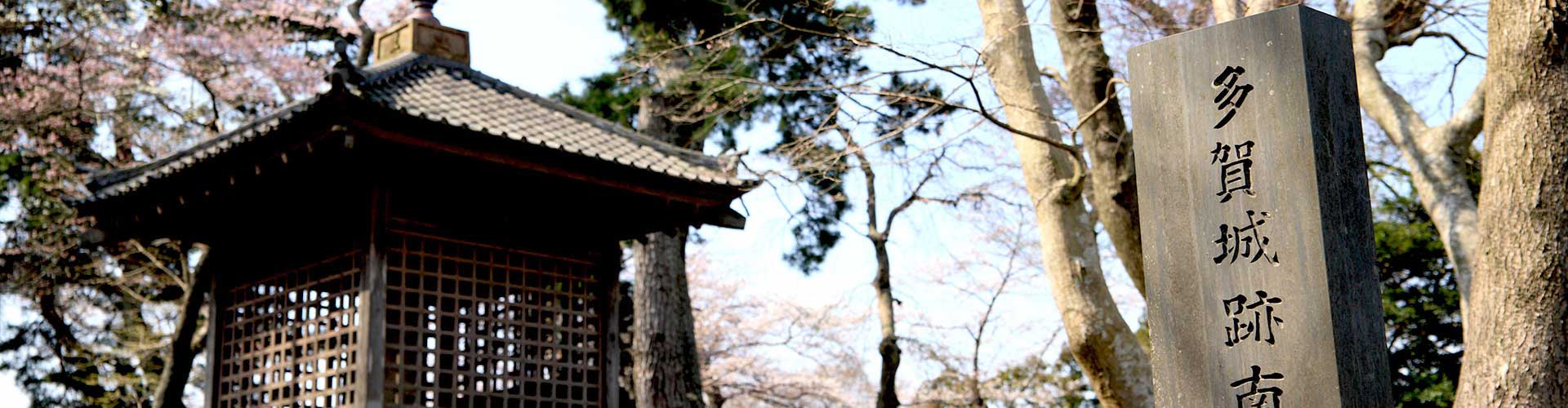 多賀城イメージ画像5