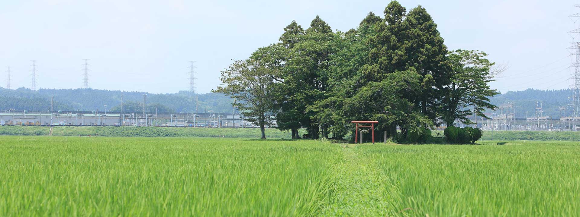 多賀城イメージ画像2