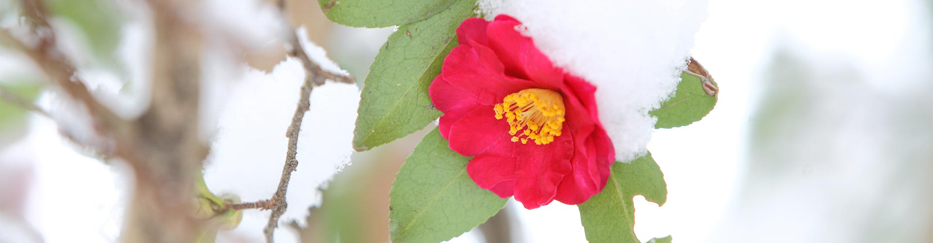 多賀城イメージ画像2